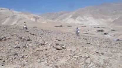 A Luster in Middle Desert