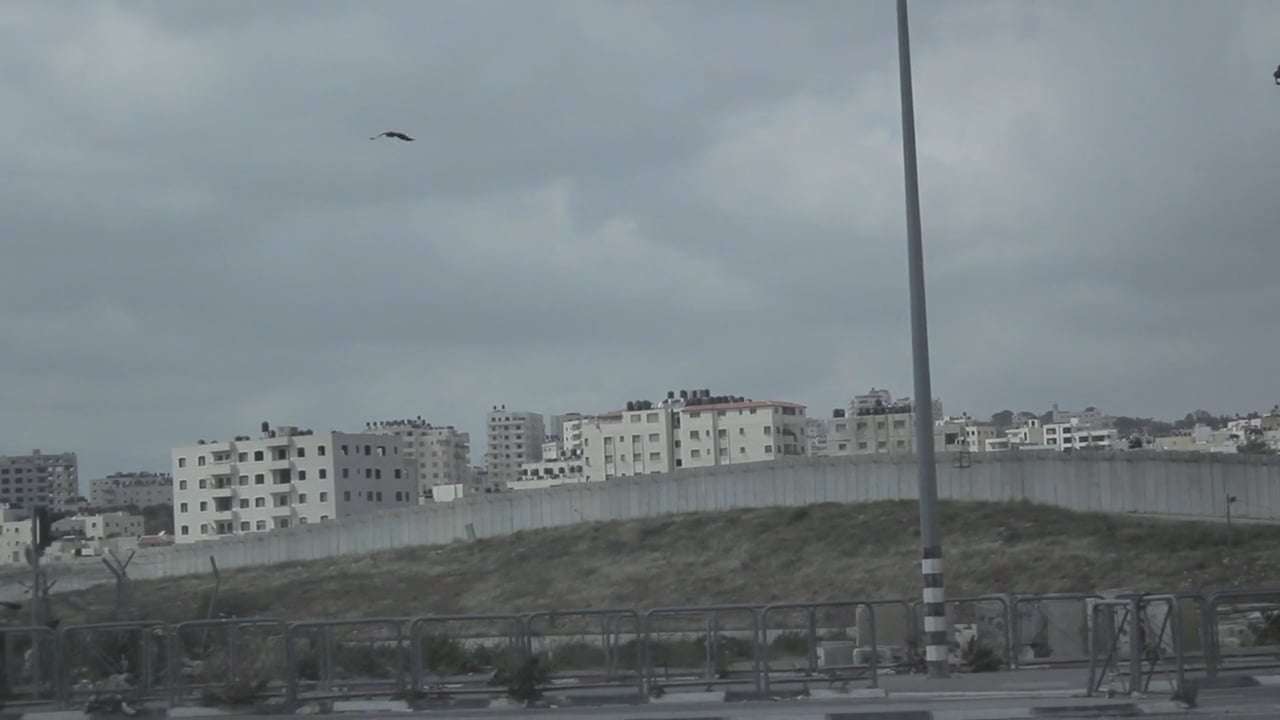 The Feeling of Palestine