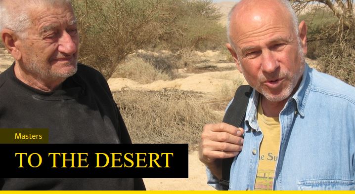 To the Desert