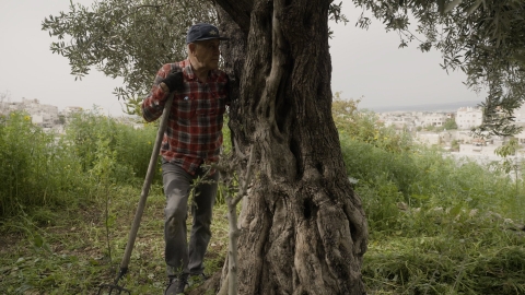 Where the wind blows