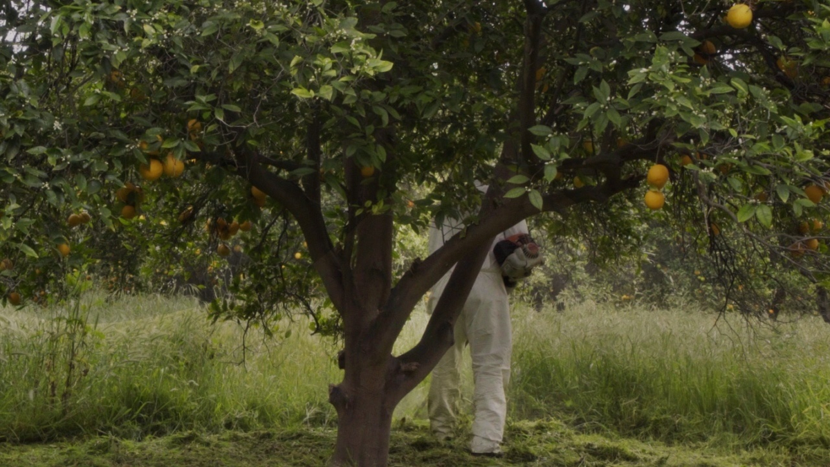 When light is displaced